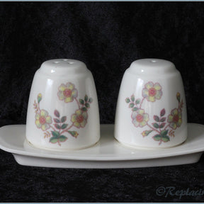 Marks & Spencer - Autumn Leaves - Melamine Cruet On Stand