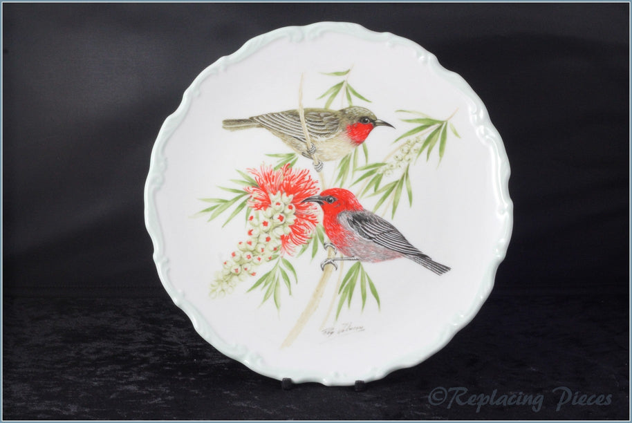 Royal Albert - Birds Of The World (Australian Birds) - Scarlet Honeyeater