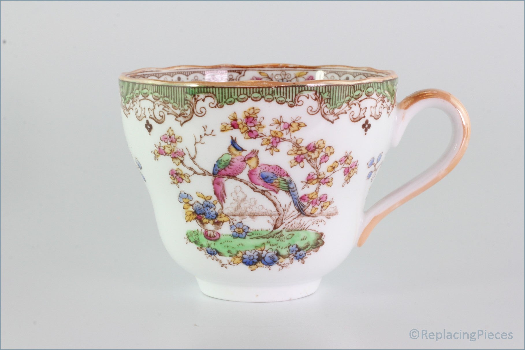 Spode - Eden (Orange Edge) - Teacup