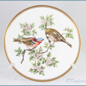 Spode - Garden Birds - Chaffinch