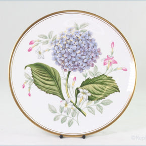 Spode - Garden Flowers - Hydrangea And Winter Jasmine