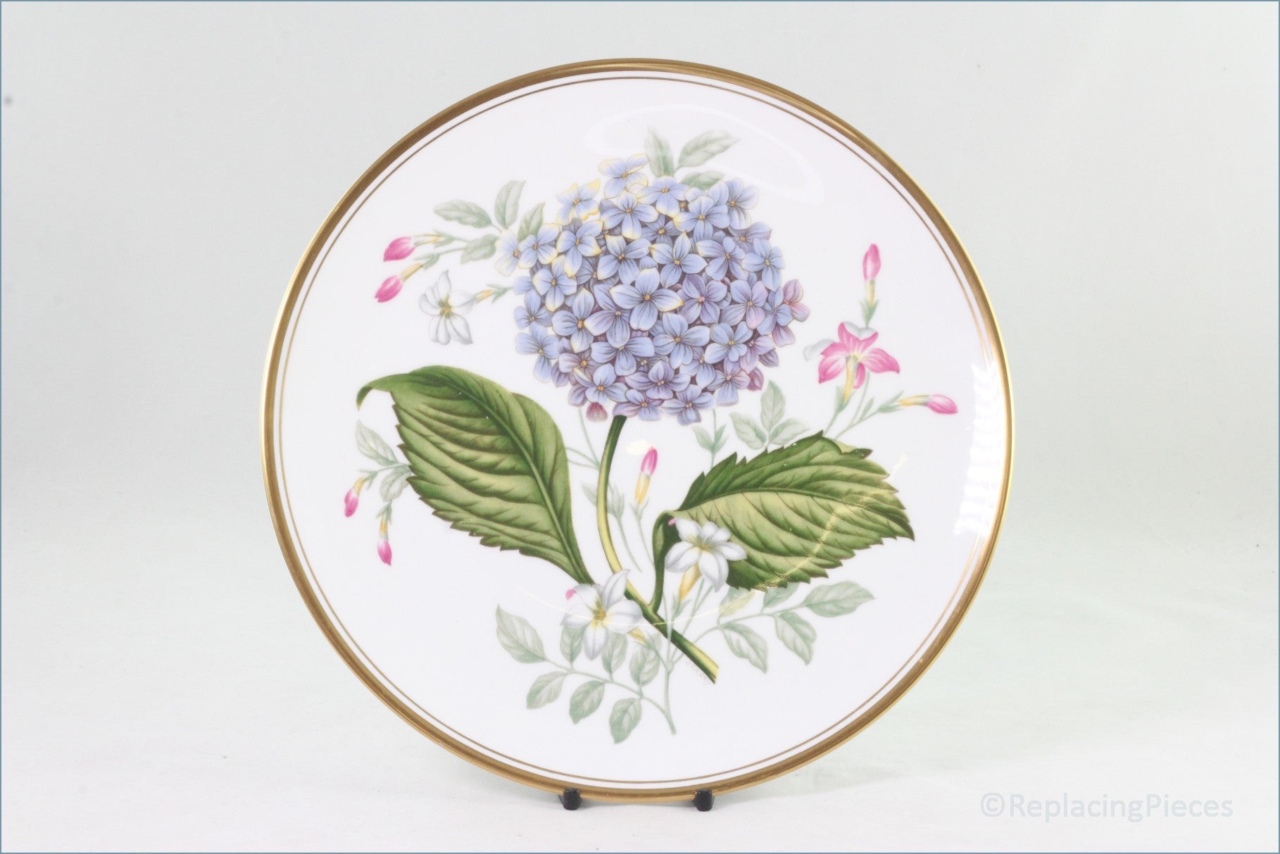 Spode - Garden Flowers - Hydrangea And Winter Jasmine
