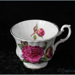 Royal Albert - Unknown 1 - Teacup