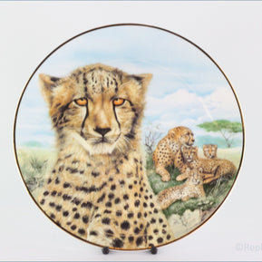 The Kensington Collection - The Wild Cats - Cheetah