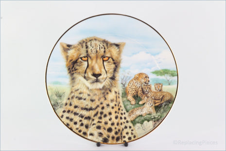 The Kensington Collection - The Wild Cats - Cheetah