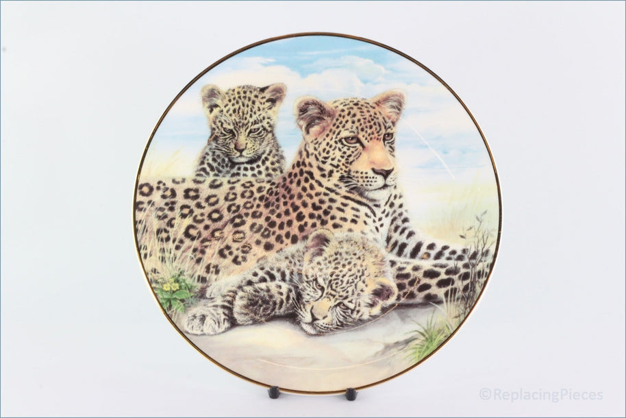 The Kensington Collection - The Wild Cats - Leopard
