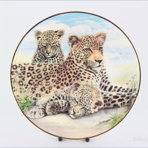 The Kensington Collection - The Wild Cats - Leopard