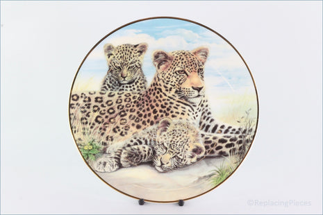 The Kensington Collection - The Wild Cats - Leopard