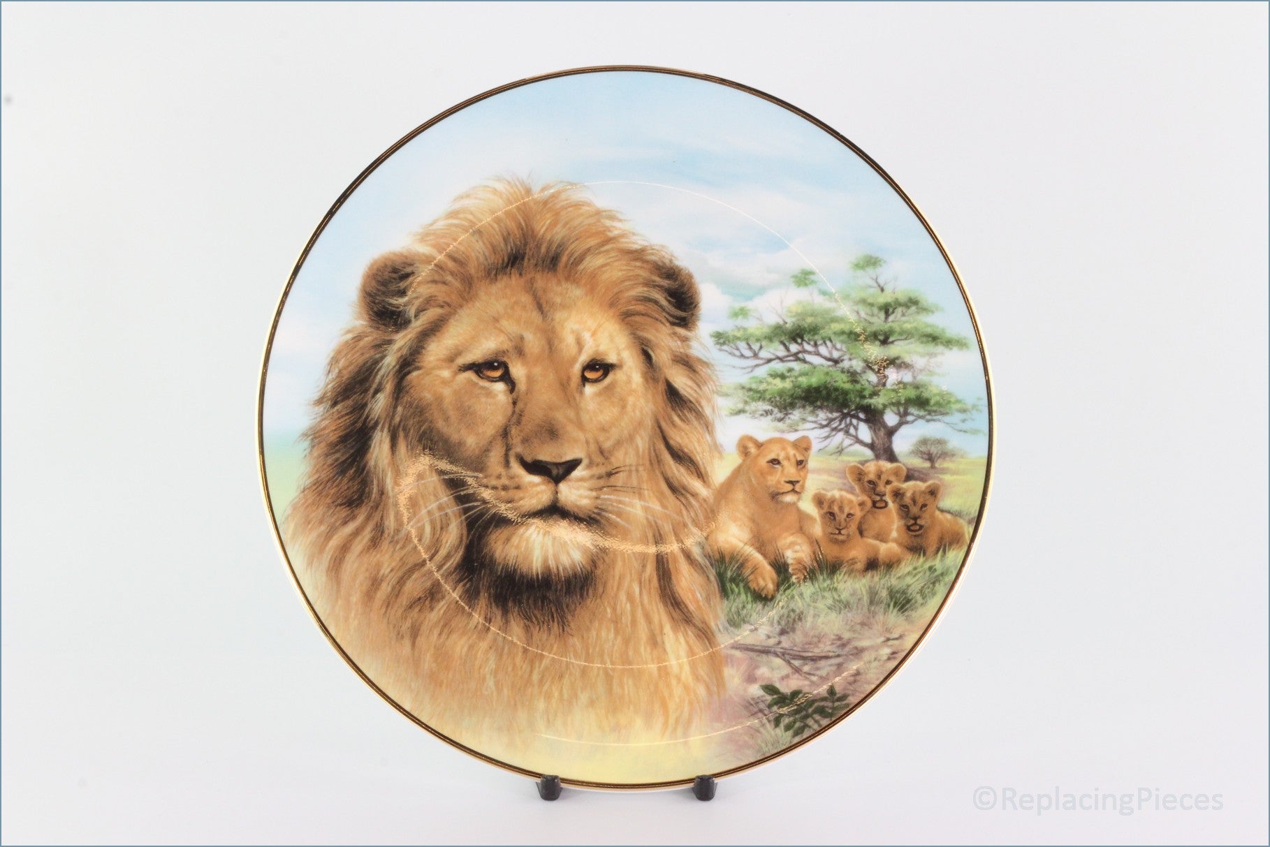 The Kensington Collection - The Wild Cats - Lion