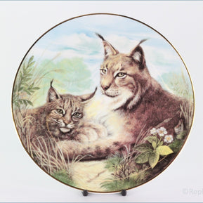 The Kensington Collection - The Wild Cats - Lynx