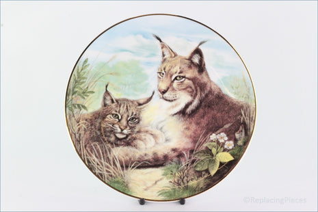 The Kensington Collection - The Wild Cats - Lynx