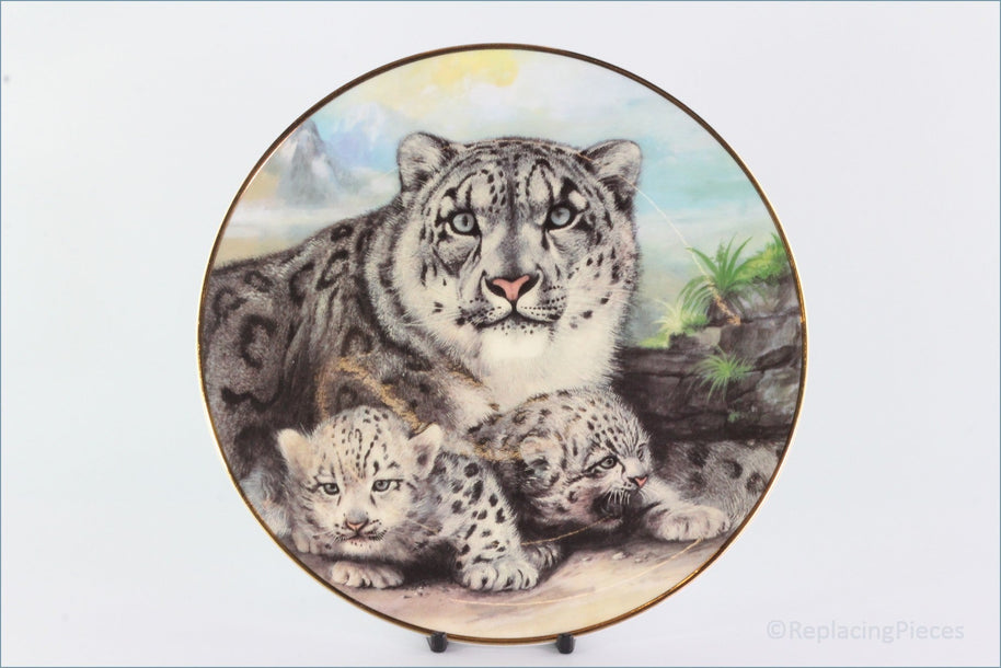 The Kensington Collection - The Wild Cats - Snow Leopard