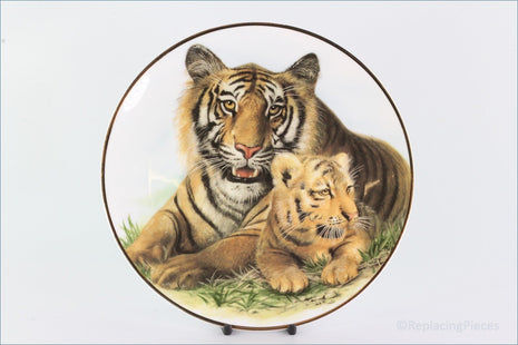 The Kensington Collection - The Wild Cats - Tiger