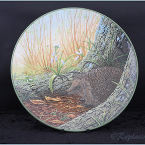 Royal Doulton - Rollinsons Portraits of Nature - The Wary Hedgehog