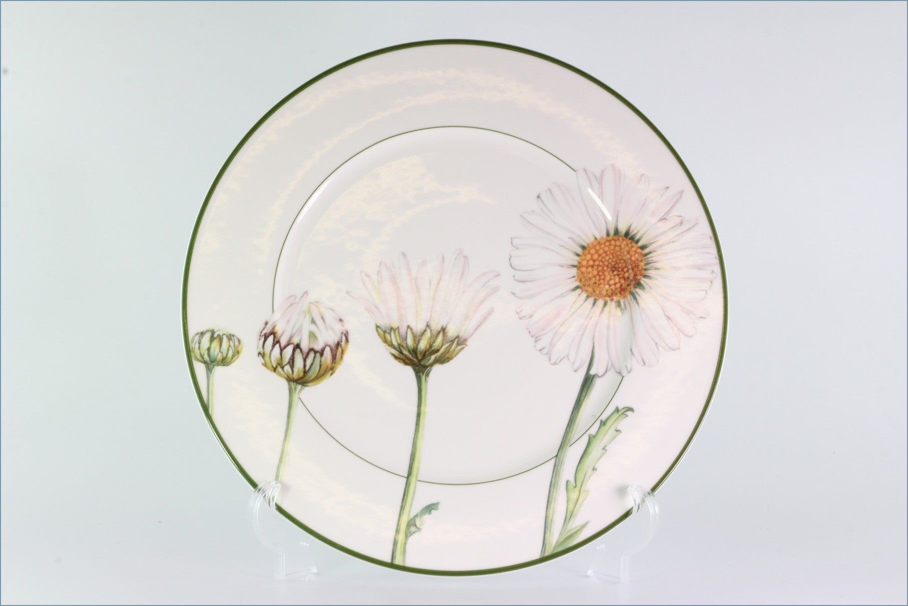 Villeroy & Boch - Flora - 12