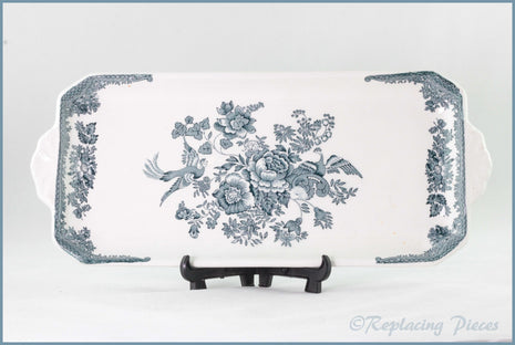 Wedgwood - Asiatic Pheasant - Sandwich Tray