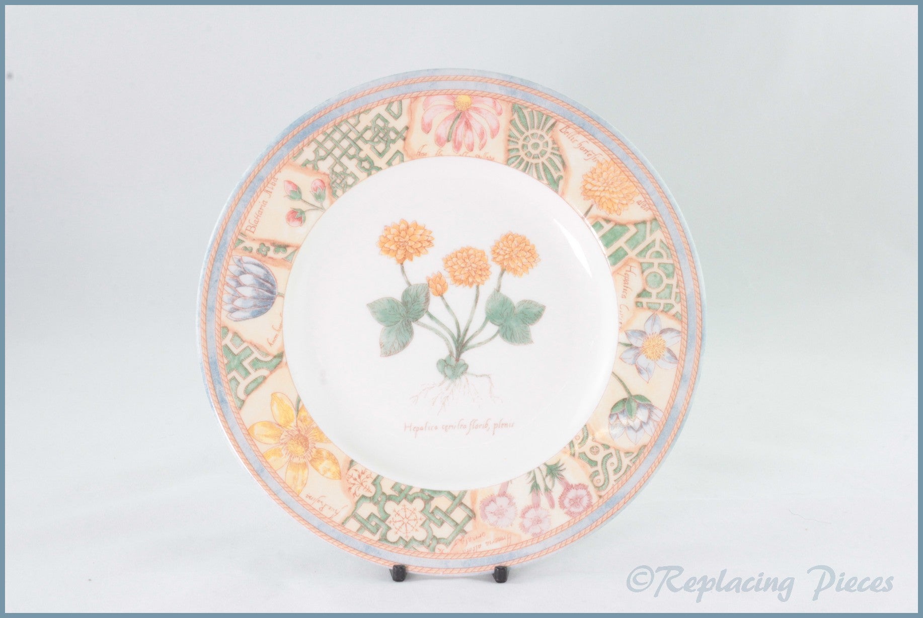 Wedgwood - Garden Maze - 8 1/4
