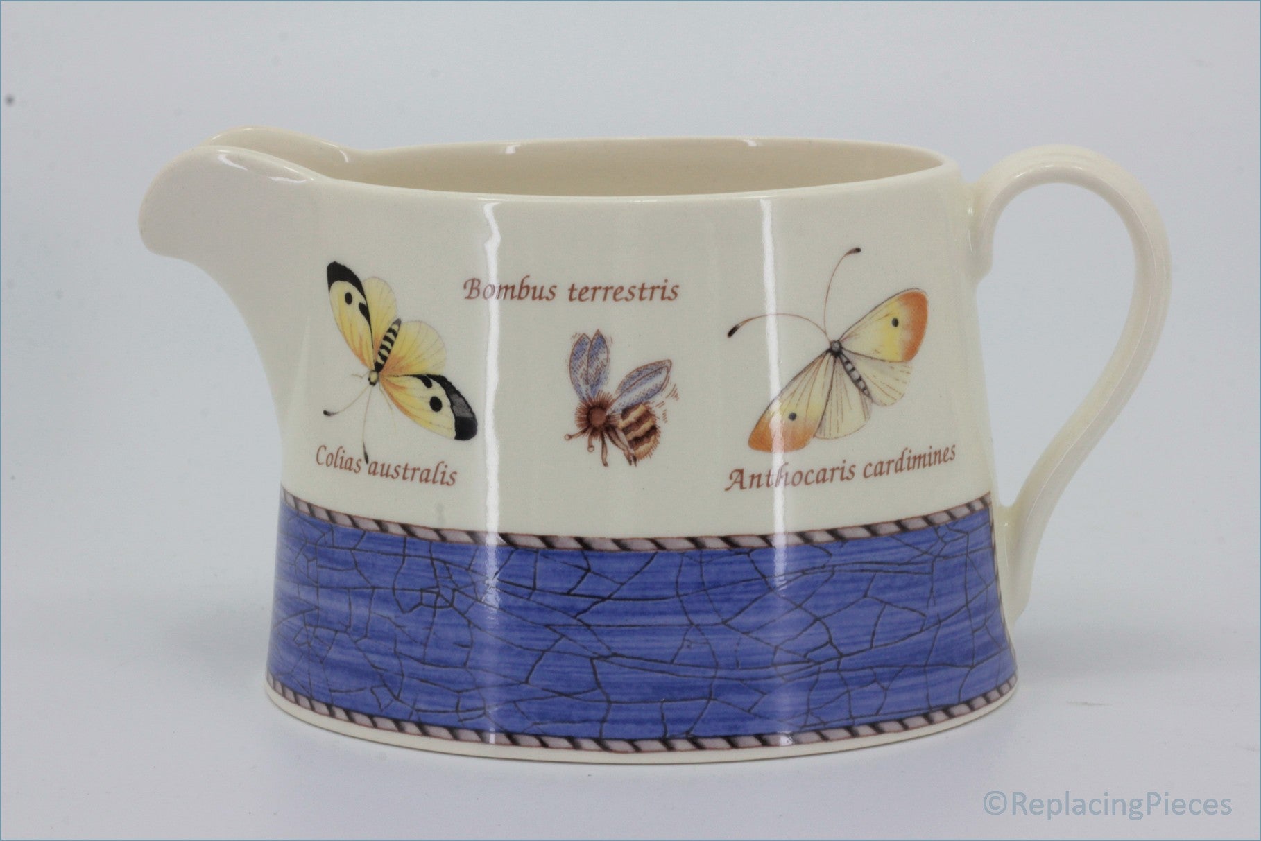 Wedgwood - Sarahs Garden - Gravy Boat