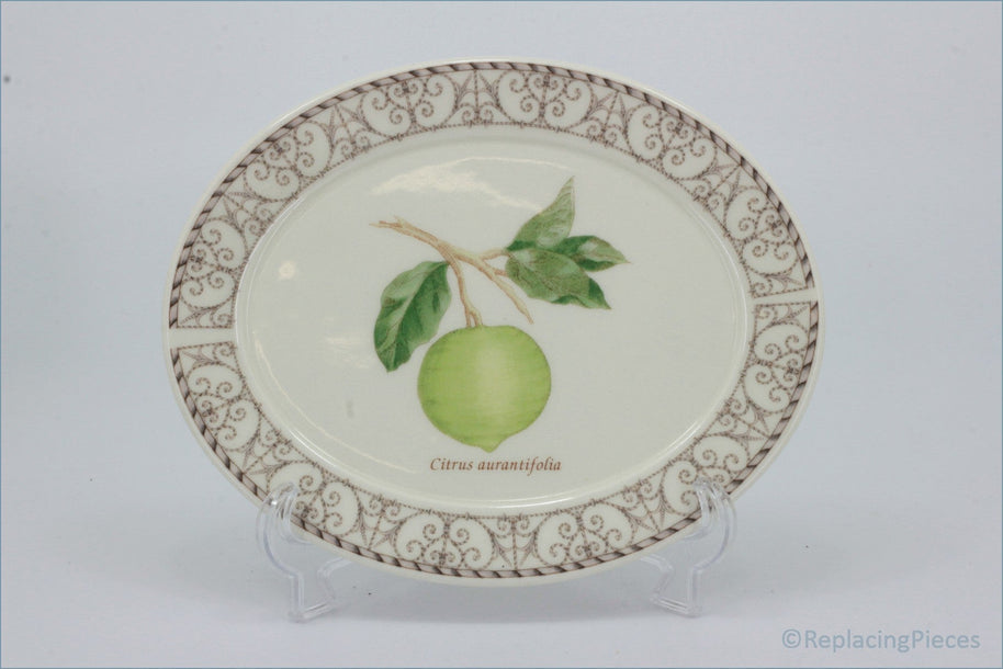 Wedgwood - Sarahs Garden - Gravy Boat Stand