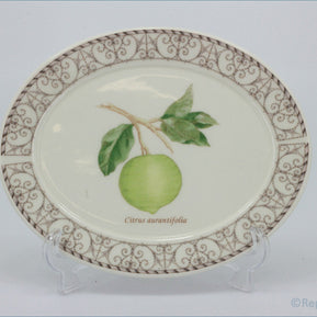 Wedgwood - Sarahs Garden - Gravy Boat Stand