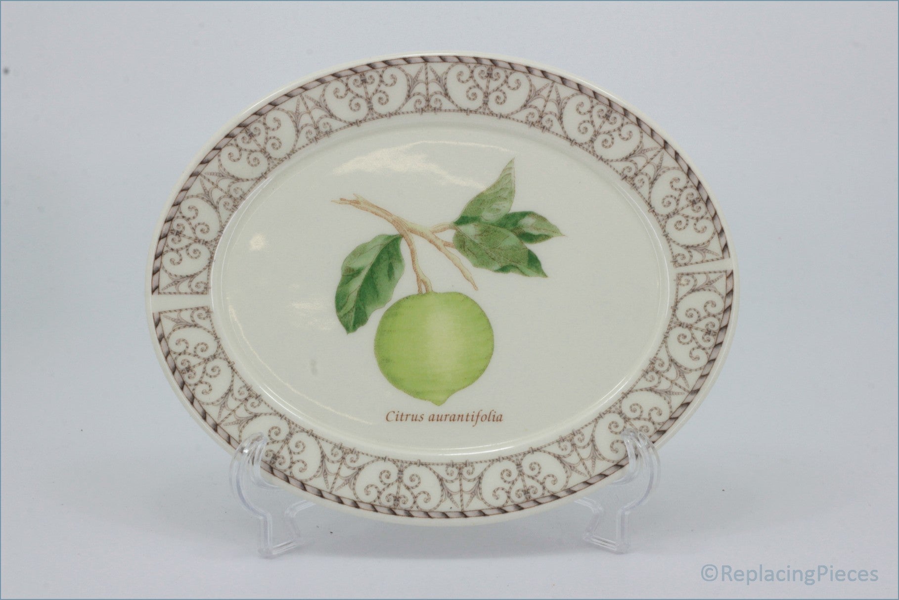 Wedgwood - Sarahs Garden - Gravy Boat Stand