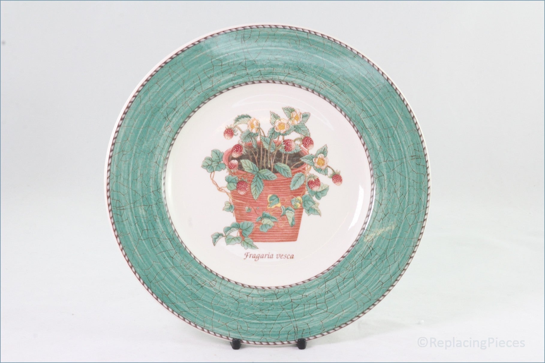 Wedgwood - Sarah's Garden (Green) - 8 1/4