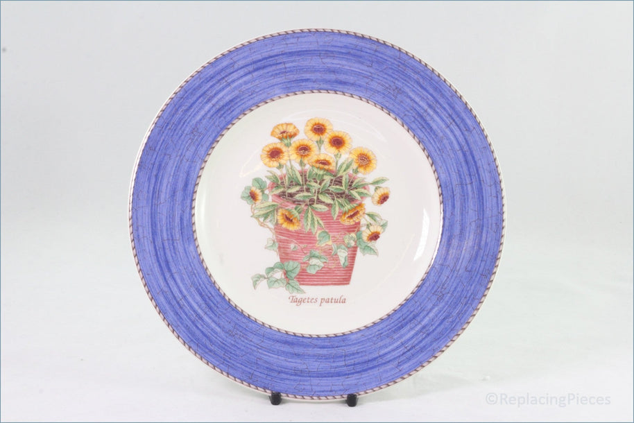 Wedgwood - Sarah's Garden (Blue) - 8 1/4" Salad Plate