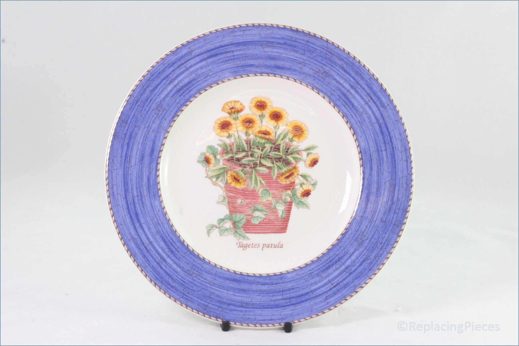 Wedgwood - Sarah's Garden (Blue) - 8 1/4