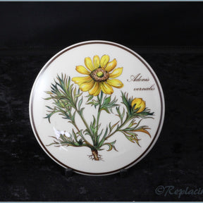 Villeroy & Boch - Botanica - Round Box (Adonis Vernalis)