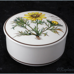Villeroy & Boch - Botanica - Round Box (Adonis Vernalis)