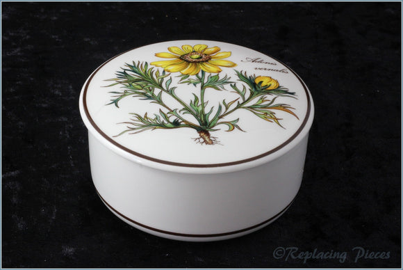 Villeroy & Boch - Botanica - Round Box (Adonis Vernalis)