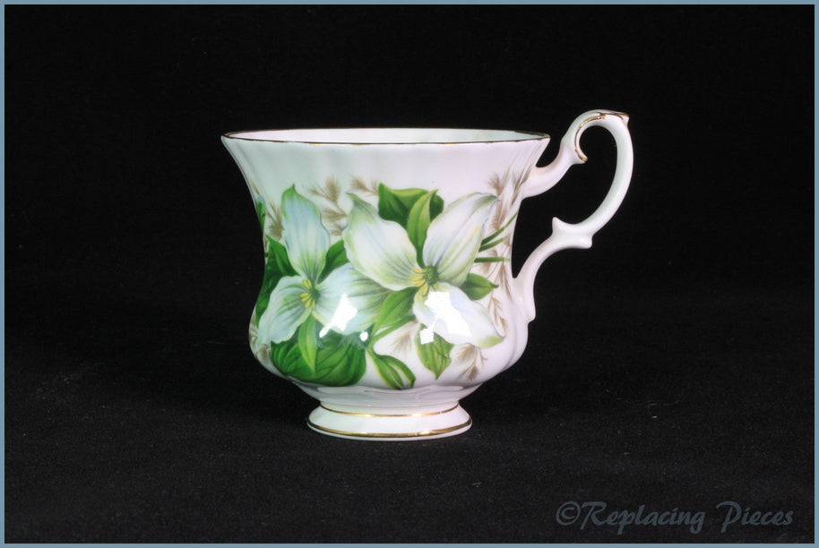 Royal Albert - Trillium - Coffee Cup