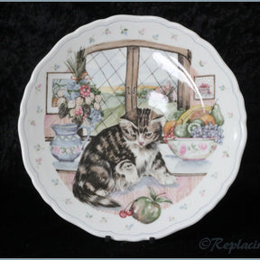 Royal Albert - The Country Kitten Collection - Curiosity