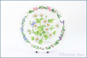 Royal Worcester - Worcester Herbs - 7 3/8" Collector Plate (Feverfew)