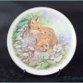 Nicholas John - Wildlife Plates - Foxes