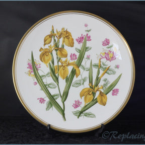 Spode - Garden Flowers - Iris & Honeysuckle