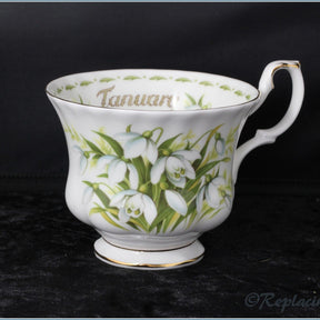 Royal Albert - Flower Of The Month (January) - Teacup