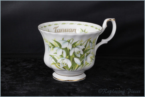 Royal Albert - Flower Of The Month (January) - Teacup