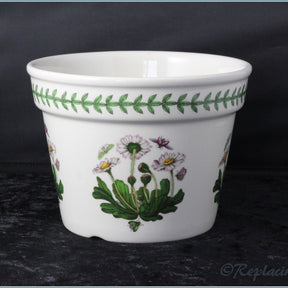 Portmeirion - Botanic Garden - Plant Pot (Medium)