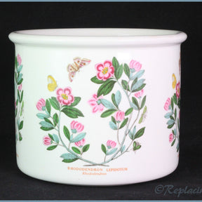 Portmeirion - Botanic Garden - Plant Pot (Large)