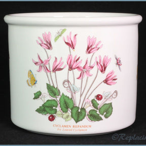 Portmeirion - Botanic Garden - Plant Pot (Medium)