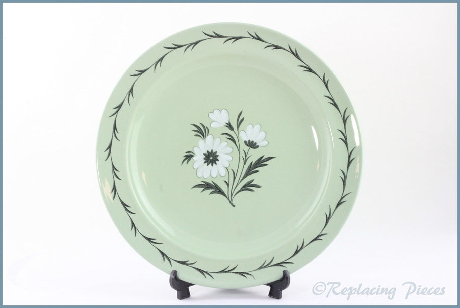 Wedgwood - Aster - Dinner Plate