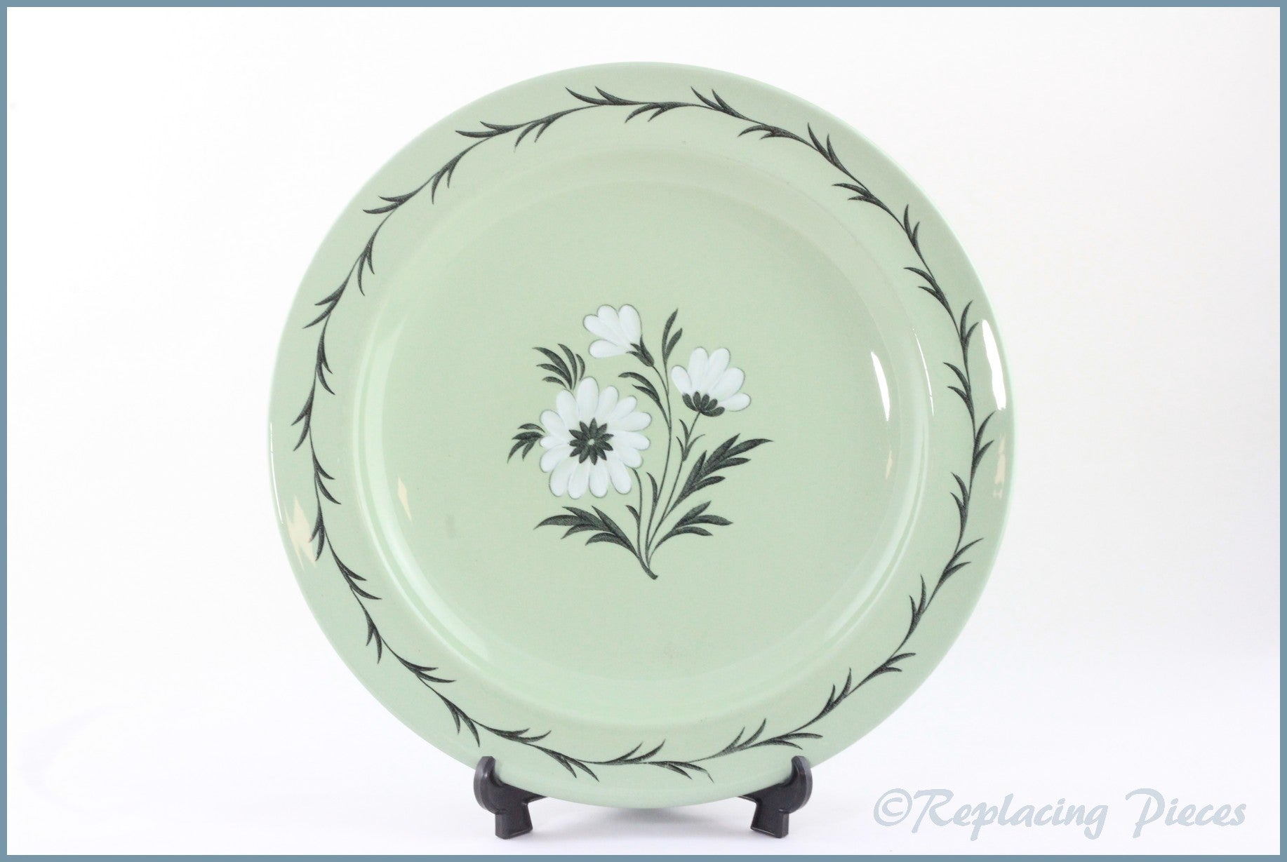 Wedgwood - Aster - Dinner Plate