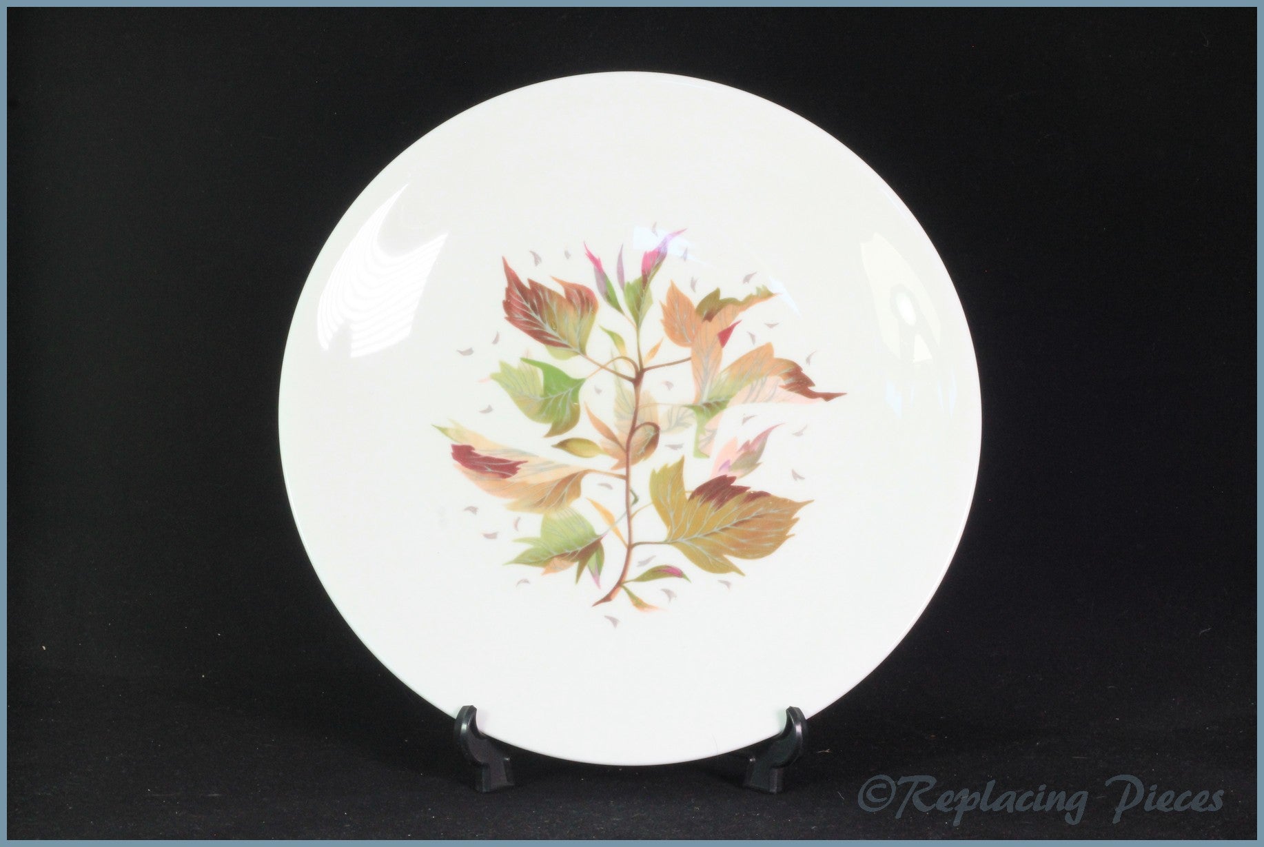 Wedgwood - Wakefield - 9