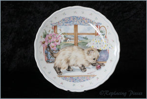 Royal Albert - The Country Kitten Collection - Playtime