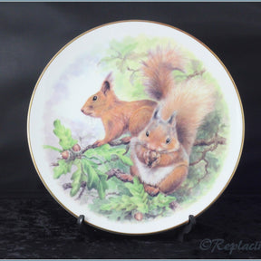 Nicholas John - Wildlife Plates - Red Squirrels