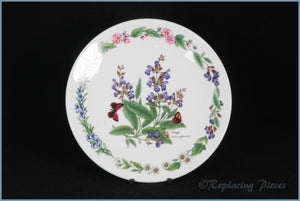 Royal Worcester - Worcester Herbs - 7 3/8" Collector Plate (Sage)
