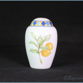 Royal Doulton - Carmina Cuchina - Salt Pot