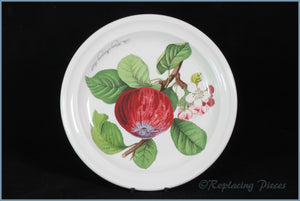 Portmeirion - Pomona - 8 5/8" Salad Plate (Hoary Morning Apple)