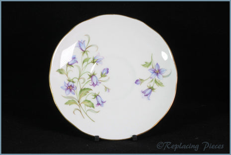 Duchess - Unknown 1 - Tea Saucer